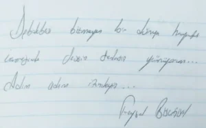 Debdebesi bitmeyen bir dünya hayatı üzerinde sessiz sedasız yürüyorum. Adım adım izindeyiz...Faysal BüçgünNeyzen